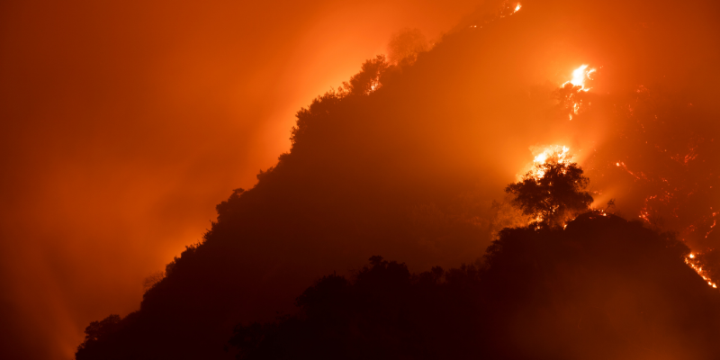 Tragedy Strikes Maui Devastating Wildfires Leave a Trail of Destruction